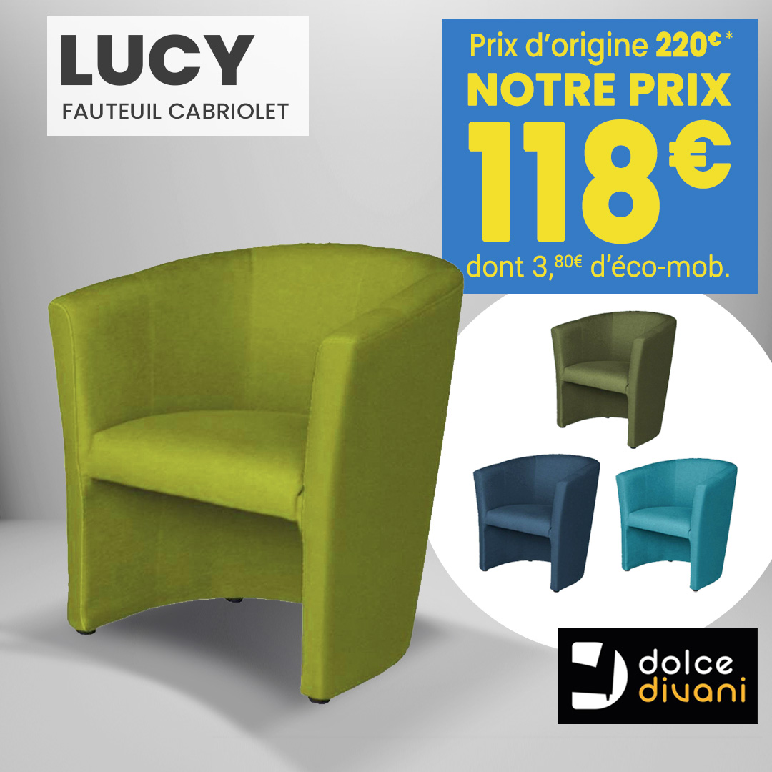 vignette menu fauteuil lucy