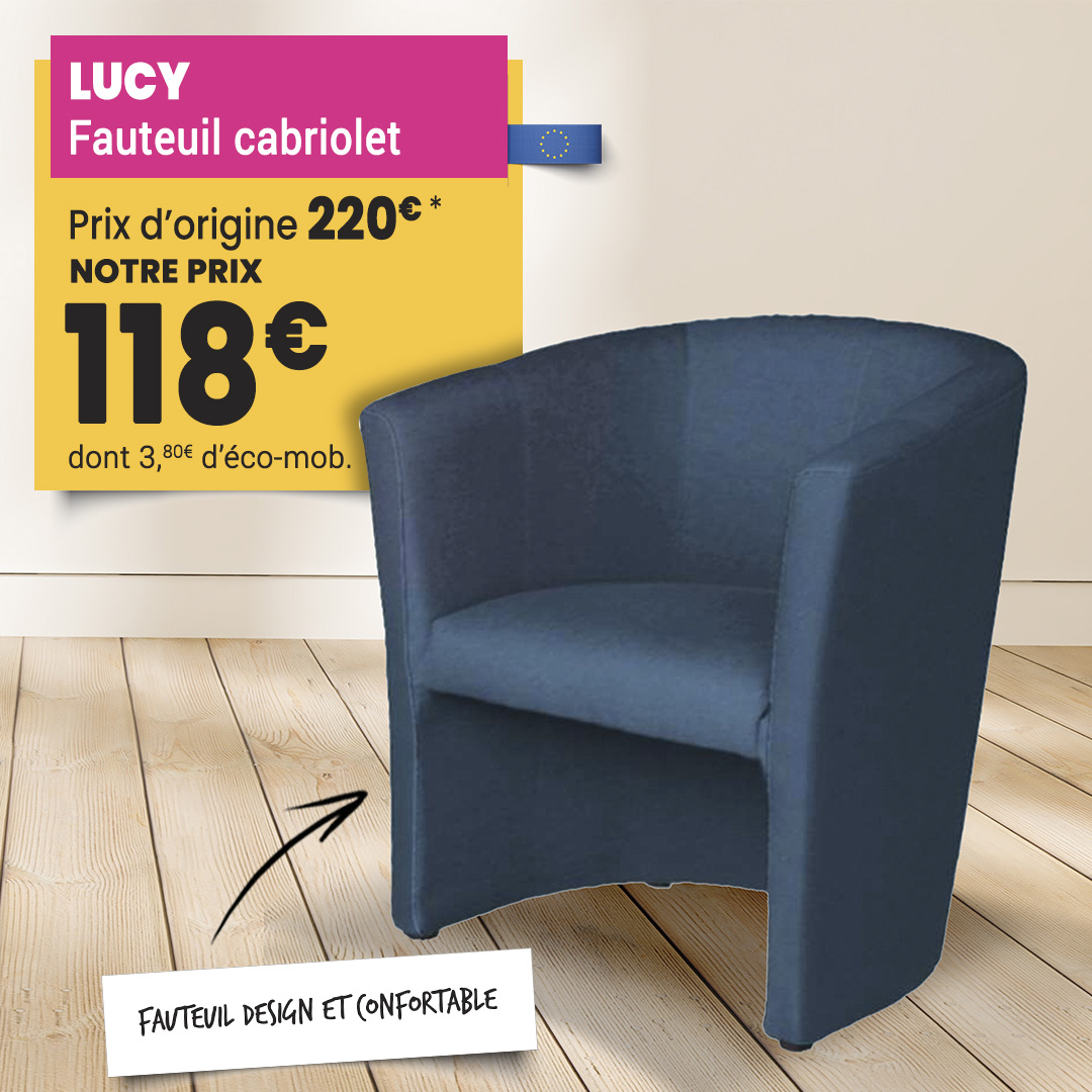 vignette menu fauteuil lucy